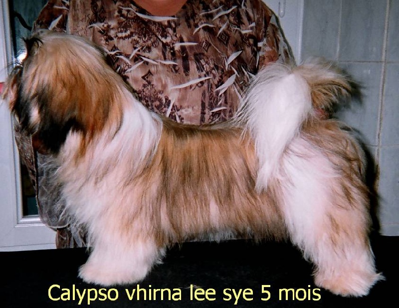 Calypso'vhirna-lee-sye Du val d'éon